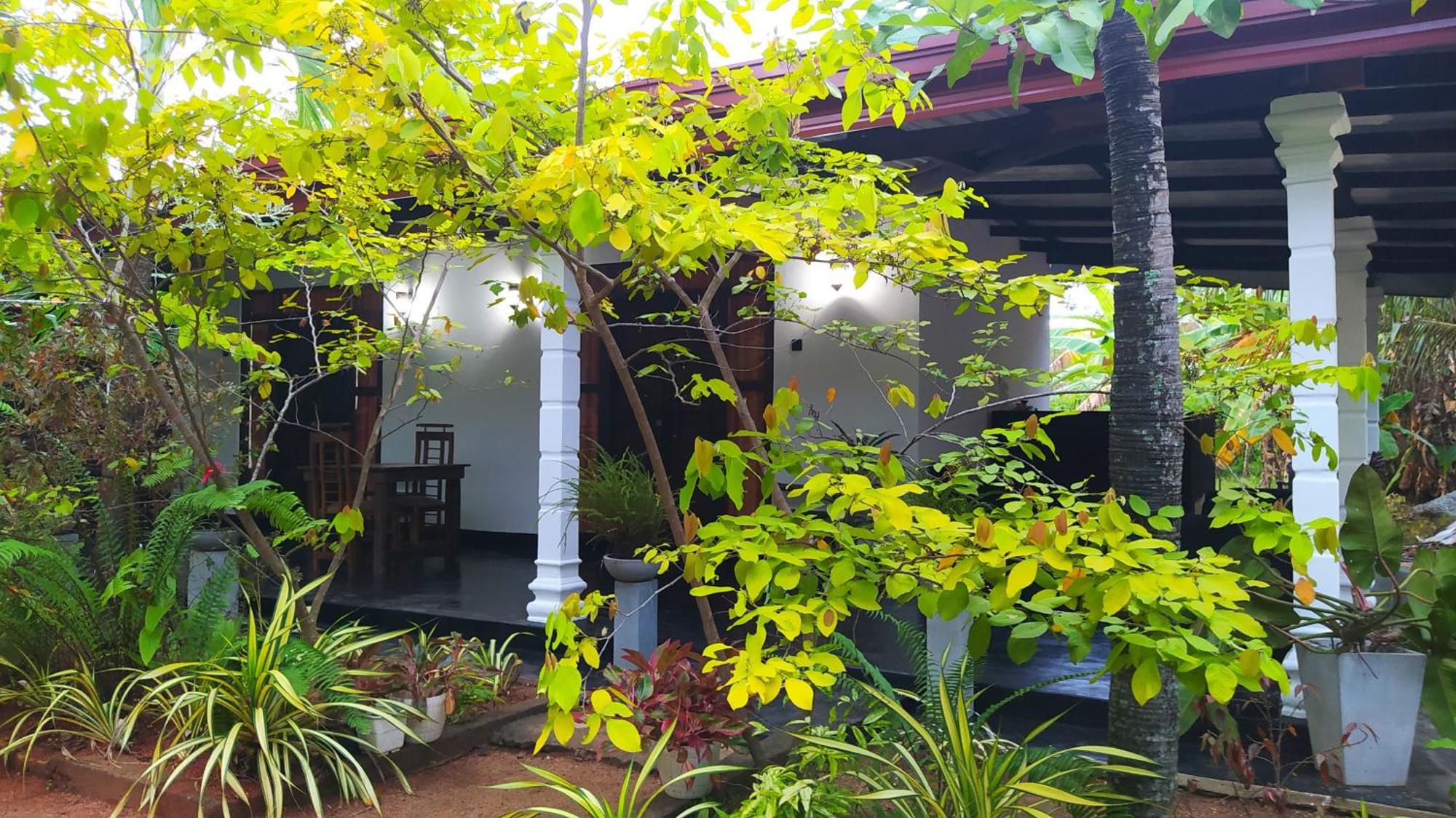 Yashi'S Place Sigiriya Eksteriør billede