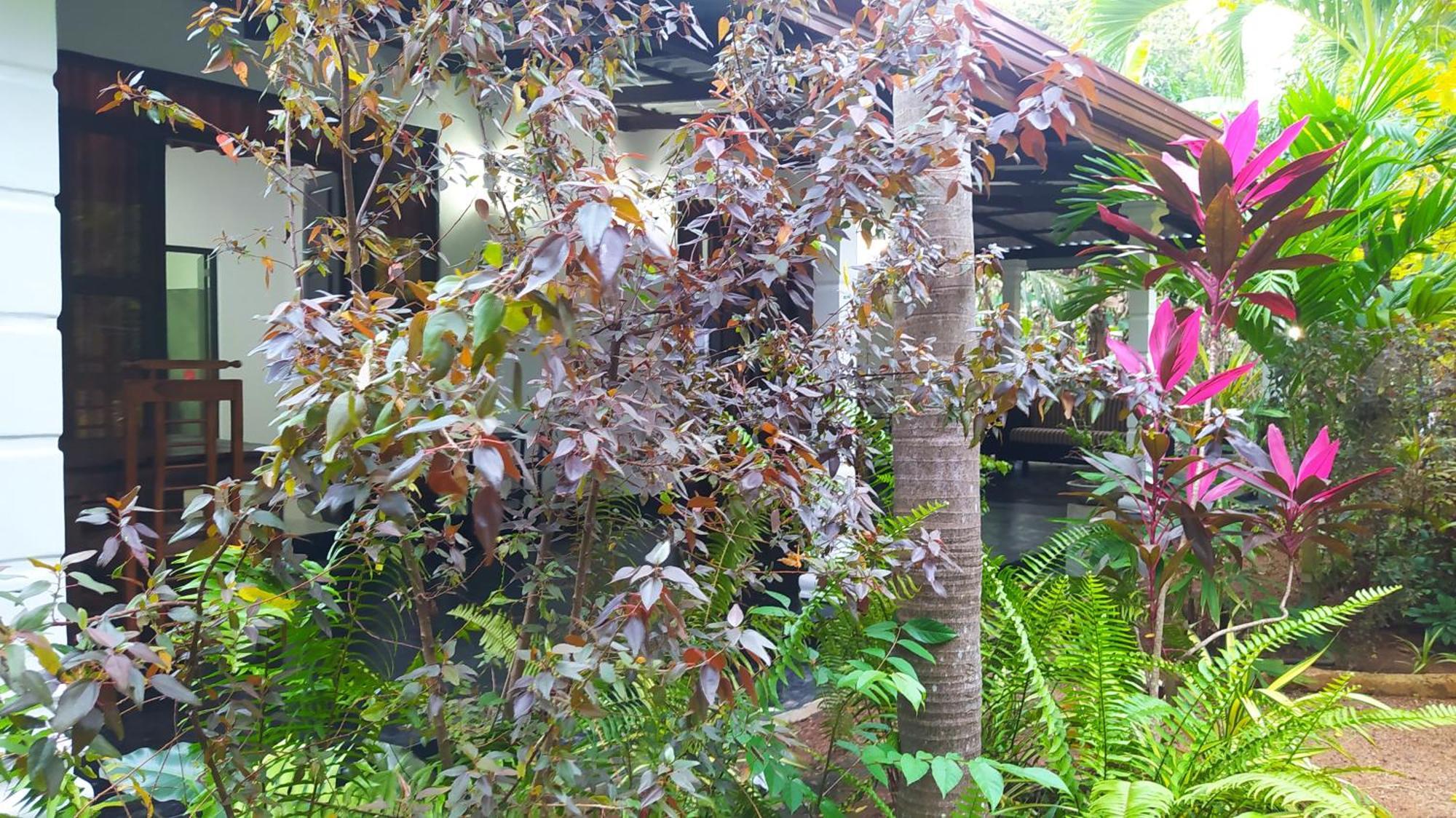 Yashi'S Place Sigiriya Eksteriør billede